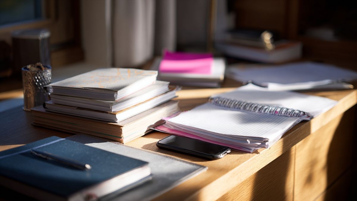 Quelle accessibilité et quel accompagnement pour les apprenants ?